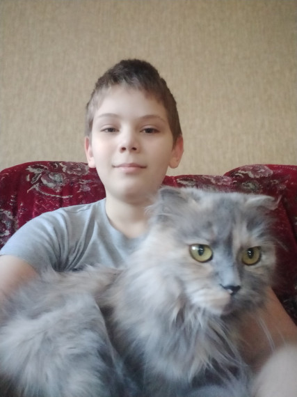 Домашние любимцы.
