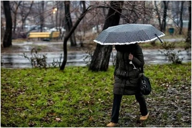 День прогулок под дождем!.